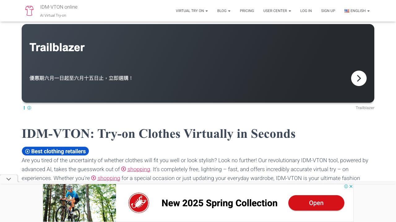 IDM-VTON online cover