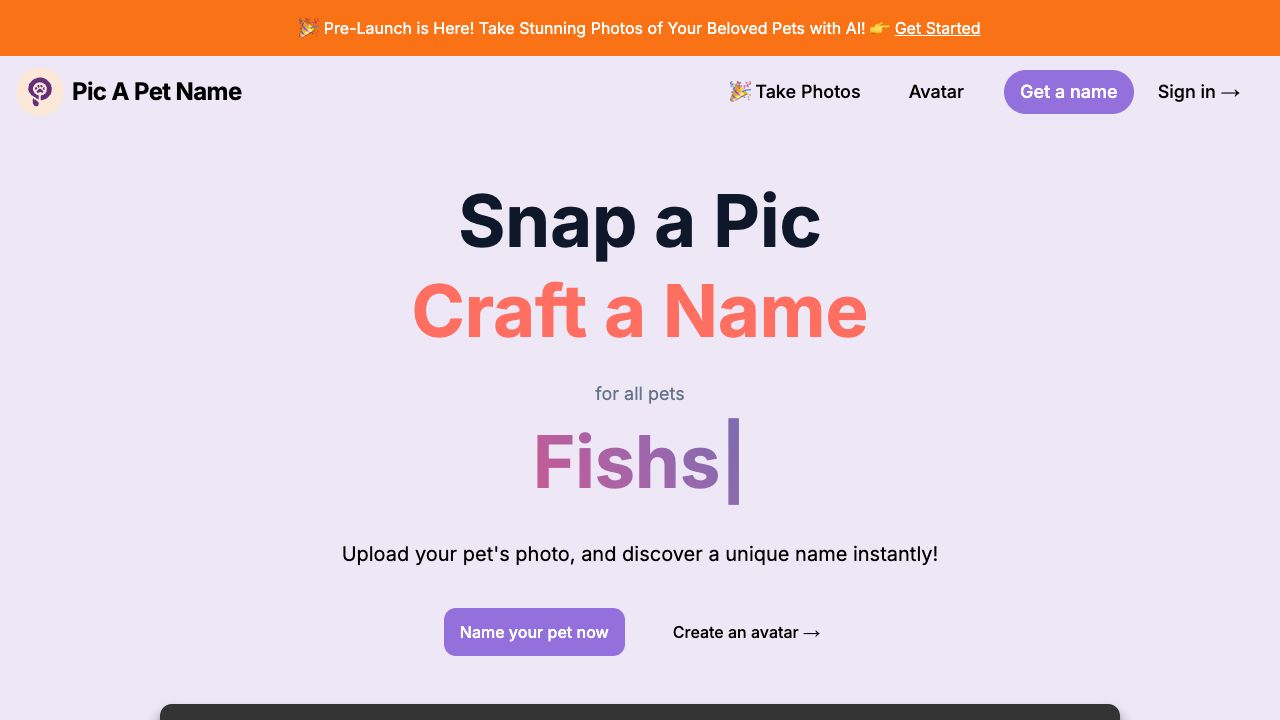 Pic A Pet Name cover