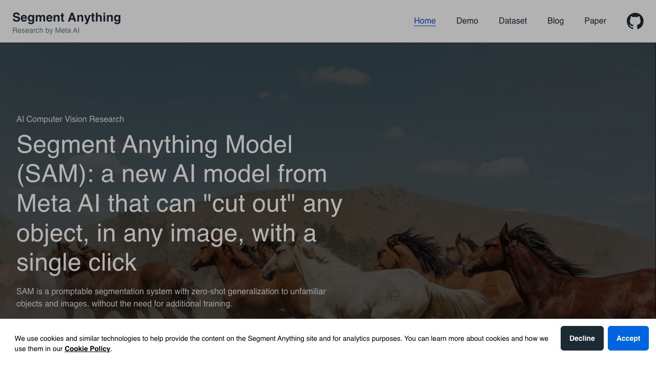 Segment Anything cover