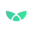 Pinegraph | Magic Sketchpad